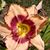 Jeanie Norton's profile image
