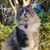 Nichole Gene's profile image