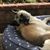 Patricia Etherington's profile image
