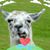 Bob Russo's profile image