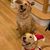 Julie Cooper Biagini's profile image