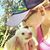 Melanie Lux's profile image