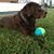 Angela Garcia Ollam's profile image