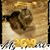 Mark Buser's profile image