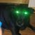 Steve Cohen's profile image