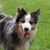 Val Parkin's profile image