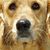 Doug Mowatt's profile image