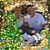 Kathy Miller's profile image