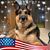 Laurie Grafft Johnson's profile image