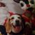 Barbara Schroeder Lewis's profile image