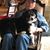 Lisa Miller Rich's profile image