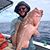Tony Gaston's profile image