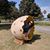 Anya Rapoport Rost's profile image
