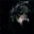 Akhtam Mussayev's profile image