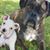 Cynthia Schweitzer's profile image