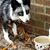 Fran Hoyt's profile image