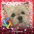 Patricia Watson's profile image