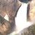Laura Voigt Pawlak's profile image