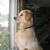 Topaz Smith's profile image