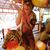 Jess King's profile image
