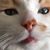 Nicole Nixie Landino's profile image