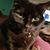 Brenda Fitzgerald's profile image