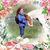 Cindy Laughlin's profile image