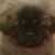 Glenda Fritts's profile image