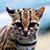 Mark Anderson's profile image