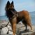 Markey Pappalardo's profile image