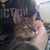 Jennifer Mahoney's profile image