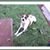 Marylee A Schmahl's profile image
