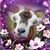 Nana Luttrell's profile image