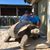 Melissa Van Slyke's profile image