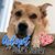 Lucy Stage's profile image