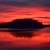 Diane Kellar Stell's profile image