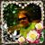 Kathy Campbell's profile image