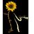 Amy Forman's profile image