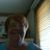 Barb Andersen Carlson's profile image