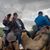 Rebecca Van Pelt Frady's profile image