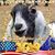 Julie Peterson's profile image