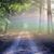 Harmony Vandeventer's profile image