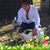 Sheri Pollard's profile image