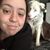 Bailee A. Boisclair's profile image