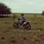 Agus Bruno's profile image
