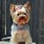 Rose Marie Domiano's profile image