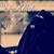Syeda Shireen's profile image