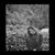 Ashi Jain's profile image