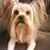 Irie Vance's profile image