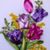 Jana Maz's profile image